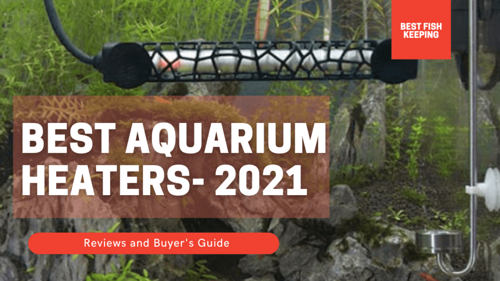 Best Aquarium Heaters 2021
