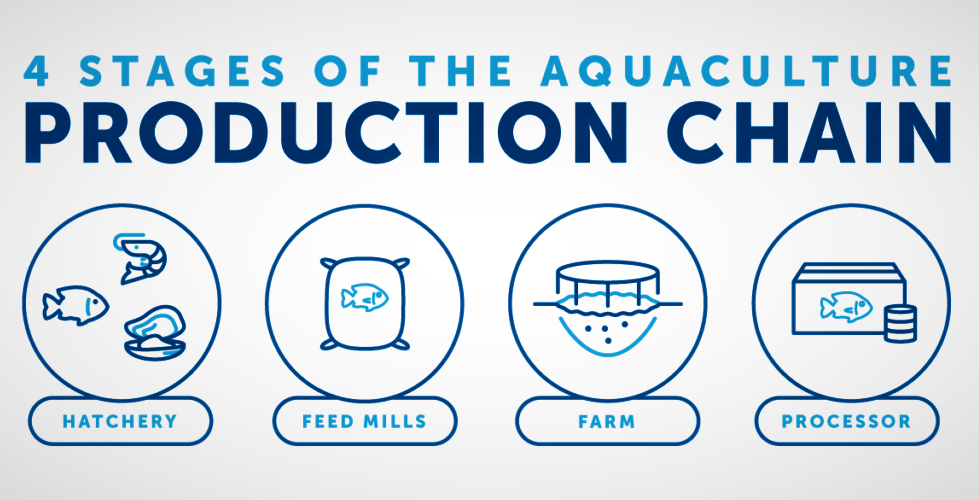 How Does Aquaculture Work