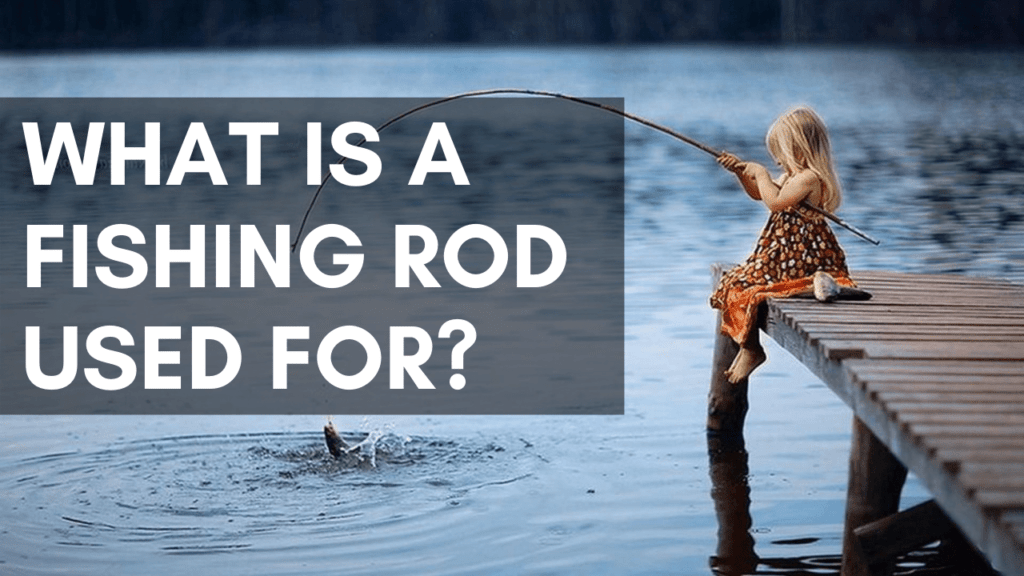 What is a Fishing Rod Used For?
