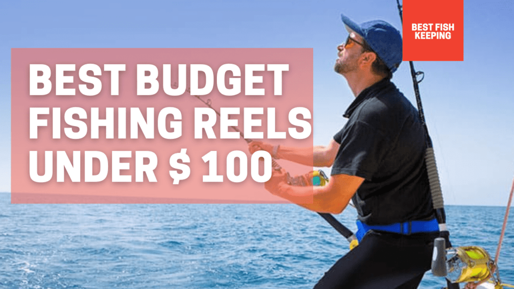best fishing reels