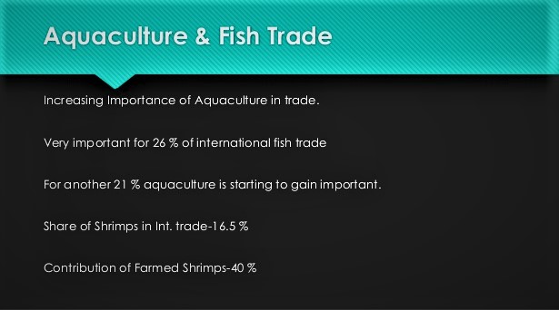 Why Aquaculture Is Important