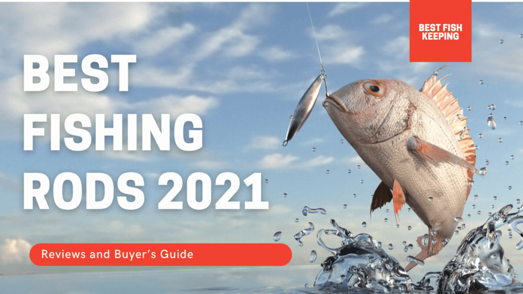 Best Fishing Rods 2022