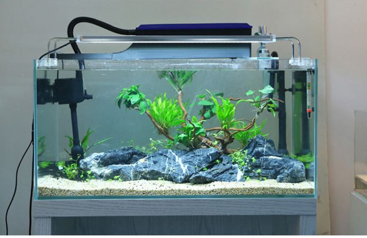 water filter for aquarium