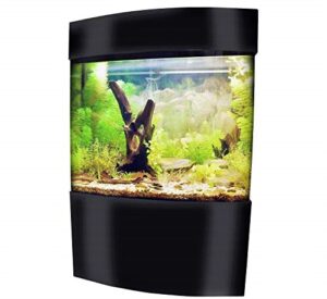 Vepotek 40-Gallon Acrylic Bowfront Aquarium