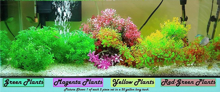 plants to decorate fish tank