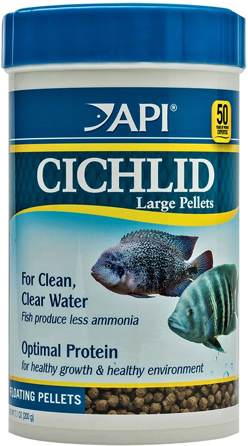 5 Best Food for Cichlids Health, Color & Growth