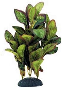 Marina Ecoscaper Lobelia Silk Plant