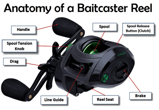 Baitcasting Reel Parts Diagram