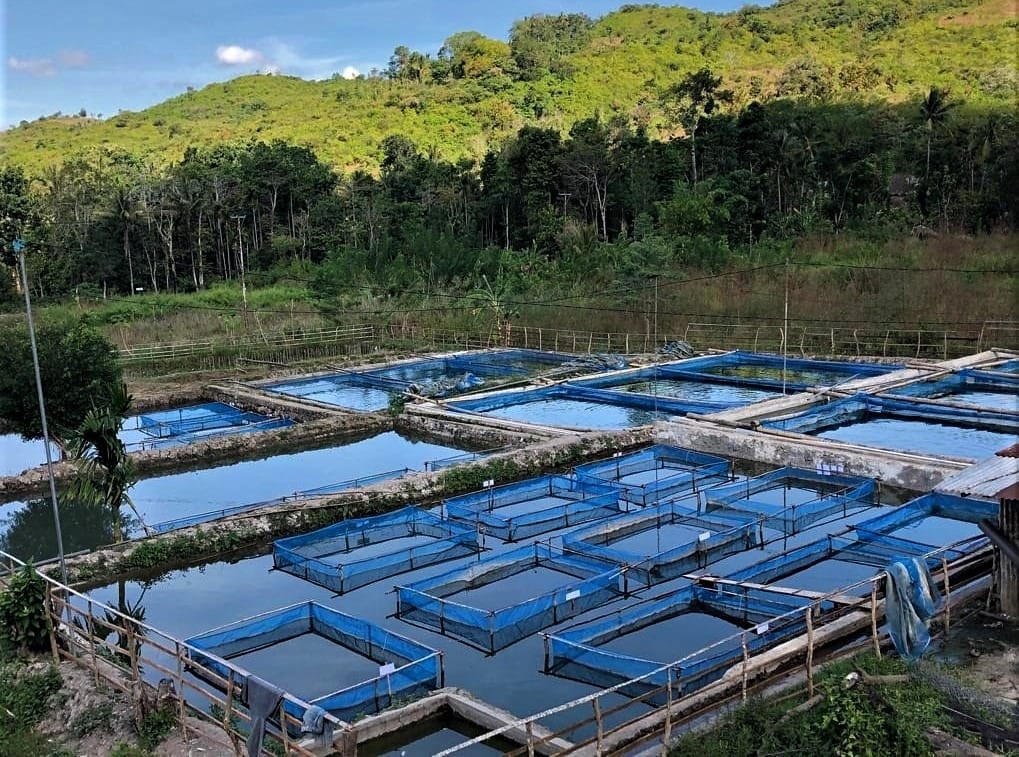 fish farming