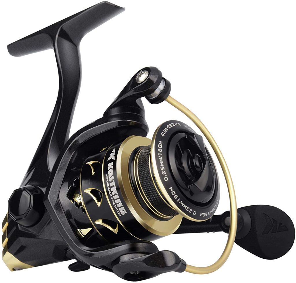 Top 10 Best Spinning Reel for Bass An Extensive Review and Good Guide
