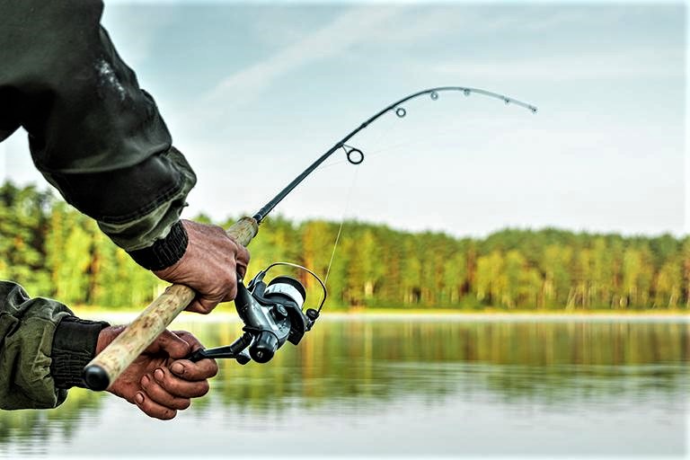 How To Line a Fishing Pole Step by Step for Beginners