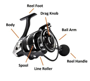 How to Setup and Use a Spinning Rod and Reel