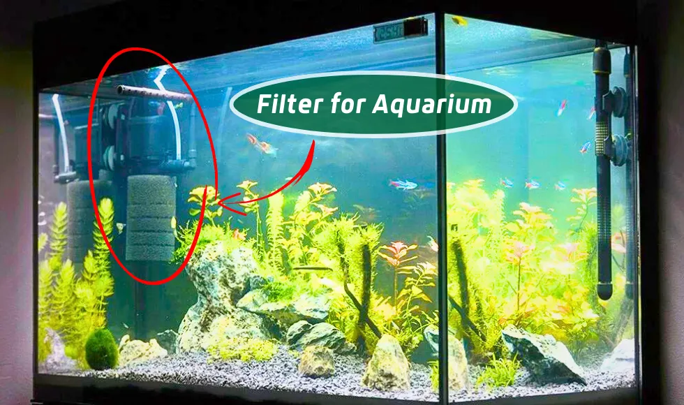 Best Filter for Aquarium